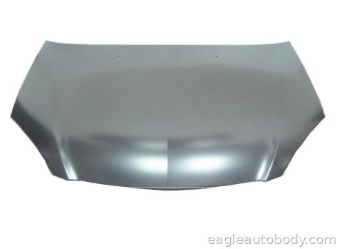 RSX 02-06 HOOD*=INTEGRA 02-04 08065