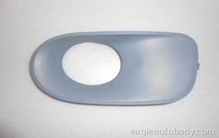 X5 04-06 LT FT BUMPER INSERT*FOG LAMP BEZEL; BM1038138