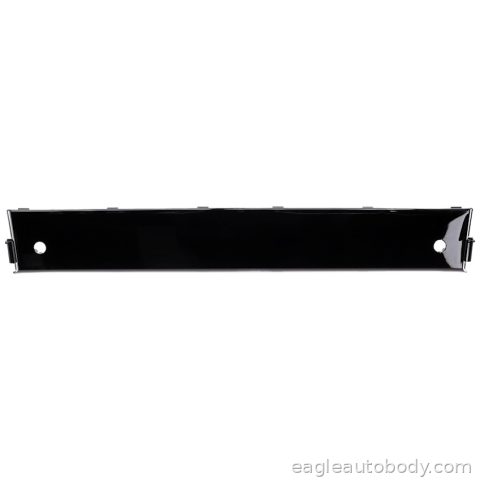 X5 19-23 FT BUMPER MOLDING*G05; W/M SPORT PKG BM1044129