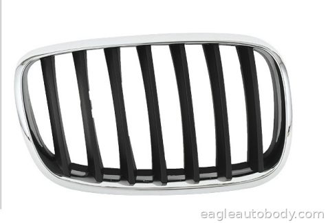 X5 07-10 GRILLE ASSY*E70; 3.0SI; RH BM1200181