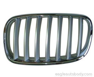 X5 07-09 GRILLE ASSY*E70; 3.5D|4.8I; LH; CHRO BM1200182