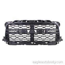 DG.PU 19-24 FT.GRILLE*BLK MESH*W/O CAM*2500/3 05750.75