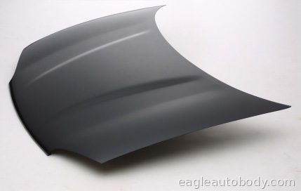 INTREPID 93-97 HOOD*(W/O WASHER HOLE) 05163