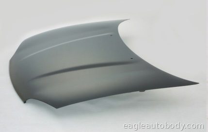 INTREPID 96-97 HOOD*(W/WASHER HOLE) 05164