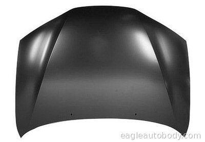 300M 99-04 HOOD 05169