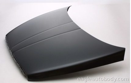 DG.PU 94-01 HOOD*DAMAGE 05764D