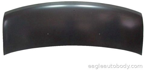 DG.VAN 98-03 HOOD*(W/WASHER HOLE) 05963