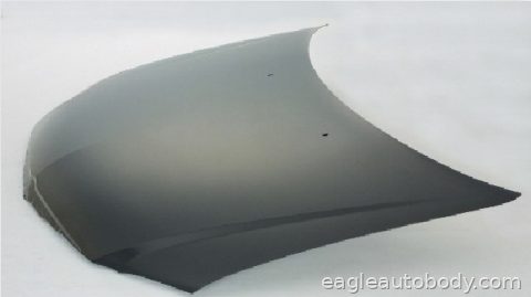 PACIFICA 04-06 HOOD*STEEL 05861