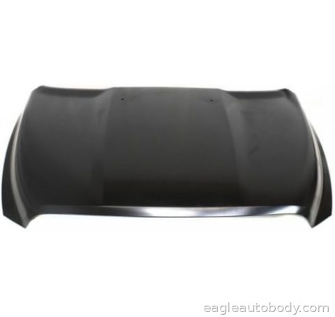 DG.P/U 09-18 HOOD*W/O HOOD SCOOP*ALUM*1500*= 05766