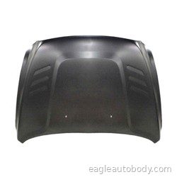 DG.P/U 10-18 HOOD*W/HOOD SCOOP*STEEL*2500/350 05769