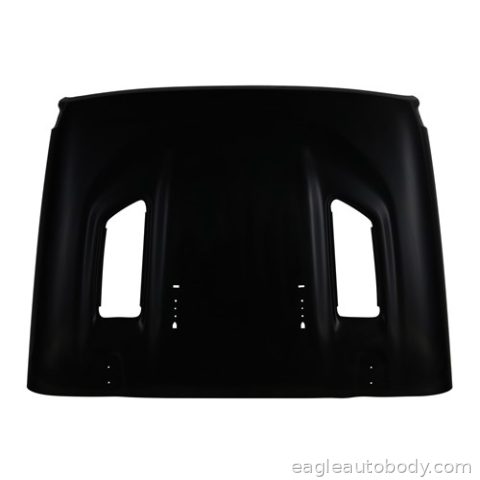 GLADIATOR 20-24 HOOD PANEL ASSY*MOAB|RUBICON; CH1230328