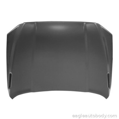 DG.P/U 19-25 HOOD*ALUM*2500/3500/4500*NEW BOD 05769-5
