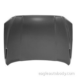 DG.P/U 19-25 HOOD*STEEL*2500/3500/4500 05769-6
