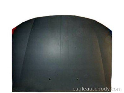 CONTINENTAL 98-02 HOOD*FIBERGLAS*DO NOT OFFER 04865