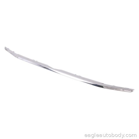 ECOSPORT 18-22 GRILLE MOLDING LOWER*TITANIUM FO1216117