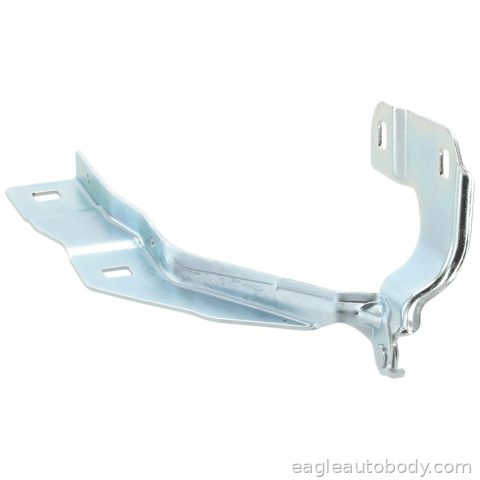 EXPLORER 20-24 HOOD HINGE ASSY*LH FO1236190