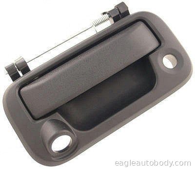 F-150 08-08 RR GATE HANDLE*W/RR VIEW CAMERA; FO1915123