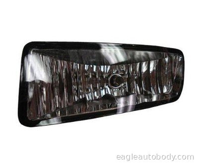 EXPEDITION 04-06 LT FOG LAMP ASSY*FR.12/02/03 P2436-4
