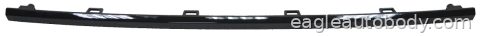 TERRAIN 17-17 FT BUMPER MOLDING*CENTER; GLOSS GM1044131