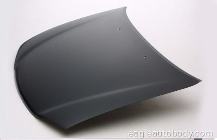 PRIZM 98-02 HOOD 00067
