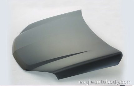 EQUINOX 05-09 HOOD 01565