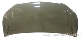 ENVISION 16-20 HOOD*STEEL 01462