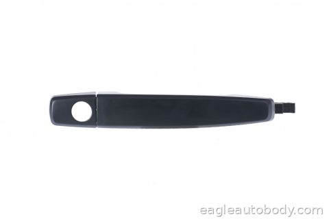 REGAL 11-16 LT FT DOOR HANDLE OUTER*W/COVER; GM1310189