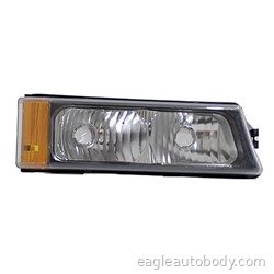 SILVER/HD 03-07 RT SIGNAL LAMP=AVLNCH W/O BOD P1703