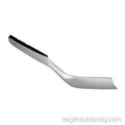 ODYSSEY 18-20 RT GRILLE MOLDING HO1213118