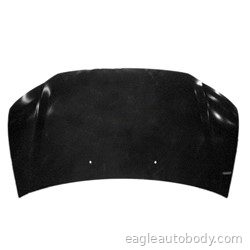 ODYSSEY 14-17 HOOD PANEL ASSY*STEEL HO1230175