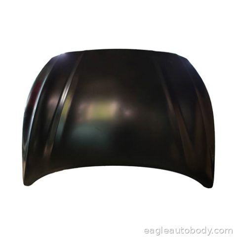 SONATA*HYBRID 18-19 HOOD*STEEL 08864-8