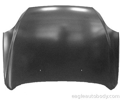 RIO 03-05 HOOD 06268-1