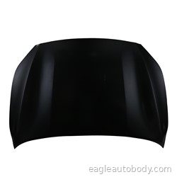 FORTE 19-24 HOOD*SDN*STEEL 06266-3