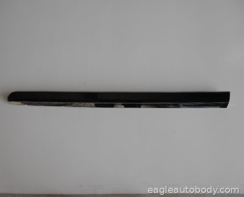 ES350 11-12 RT FT DOOR SIDE MOLDING*CODE 217; LX1305100