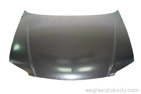 PROTEGE 01-03 HOOD*SDN*=PROTEGE 5 08168