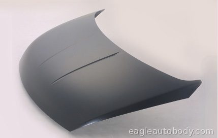 QUEST 04-09 HOOD 03567