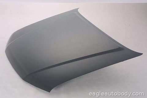 PATHFINDER 05-07 HOOD*=07262-1 07565