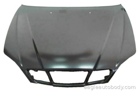 VERONA 04-06 HOOD PANEL ASSY*ALL SZ1230110