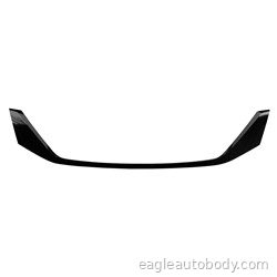 SIENNA 11-17 GRILLE MOLDING*BASE|L; W/O RADAR TO1210111
