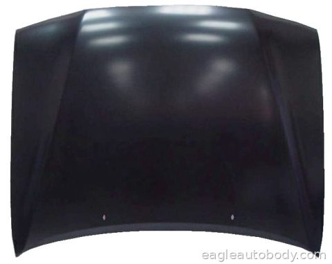 TACOMA 01-04 HOOD 10462