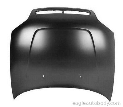 RAV4 96-00 HOOD 09964