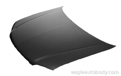 SIENNA 98-03 HOOD 09967