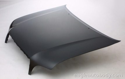 SEQUOIA 01-07 HOOD*=09263 09368
