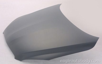 RAV4 06-12 HOOD 09965-2