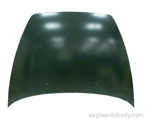 C30 07-13 HOOD PANEL ASSY*STEEL VO1230116