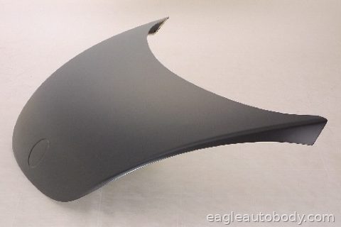 BEETLE 06-10 HOOD*W/O MARK HOLE 13666-1