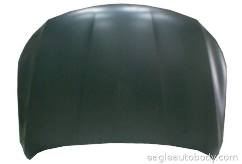 VOLKSWAGEN*CC 09-12 HOOD*ALUM 15069