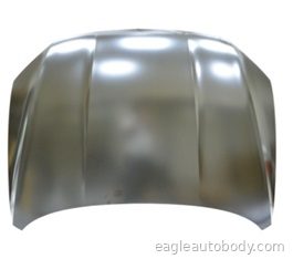 PASSAT 16-19 HOOD 15067-2
